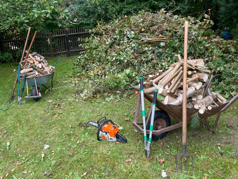 Vegetation and Debris Disposal