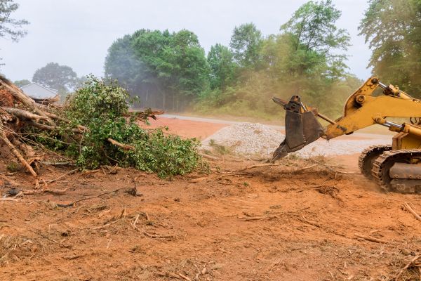 Ground Clearing in Fresno