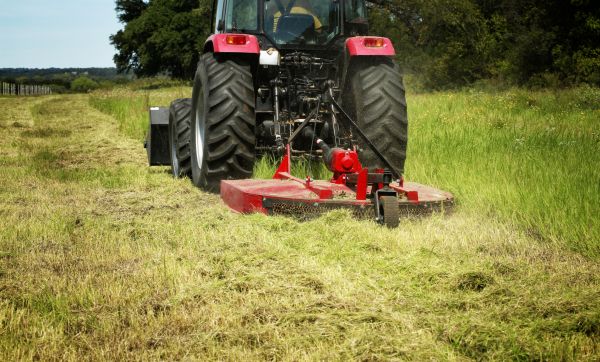 Brush Clearing Service in Fresno