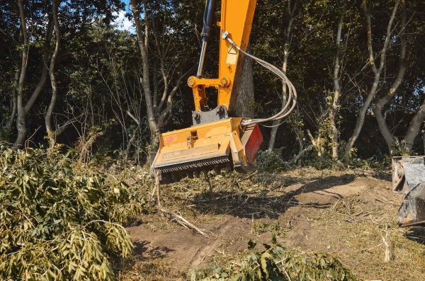 Brush Removal Service in Fresno