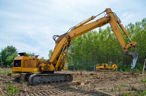 Farm Clearing in Fresno