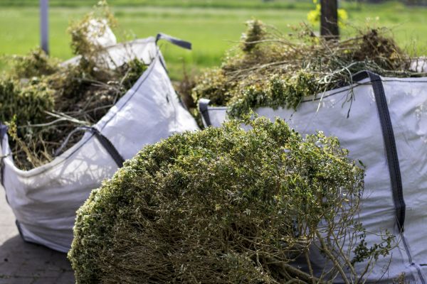 Bushes Clearing in Fresno