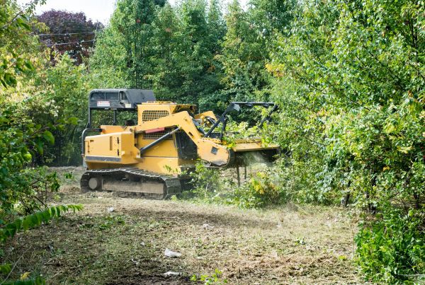 Pathway Clearing in Fresno