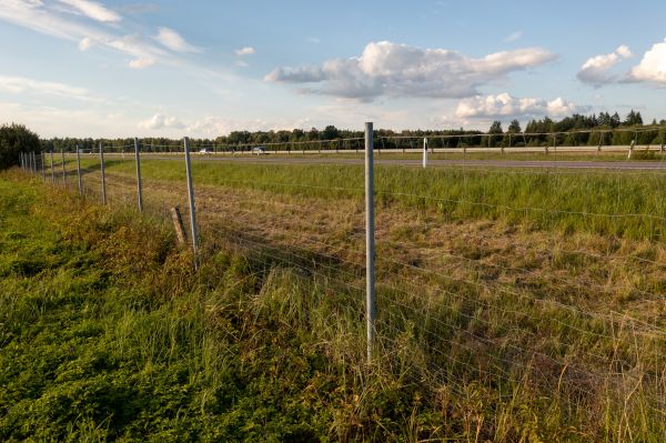 Property Line Clearing in Fresno