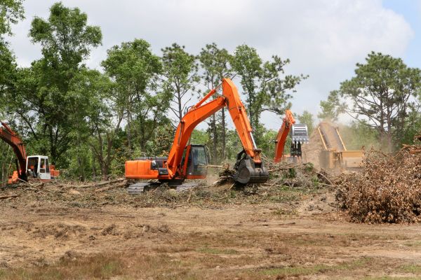 Commercial Lot Clearing in Fresno
